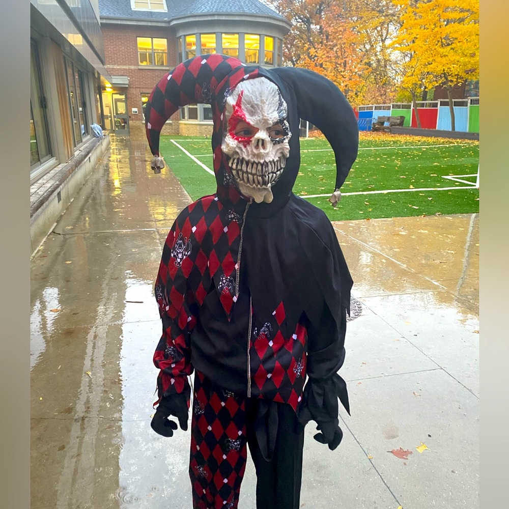 Kids Jester Halloween Costume Age 7